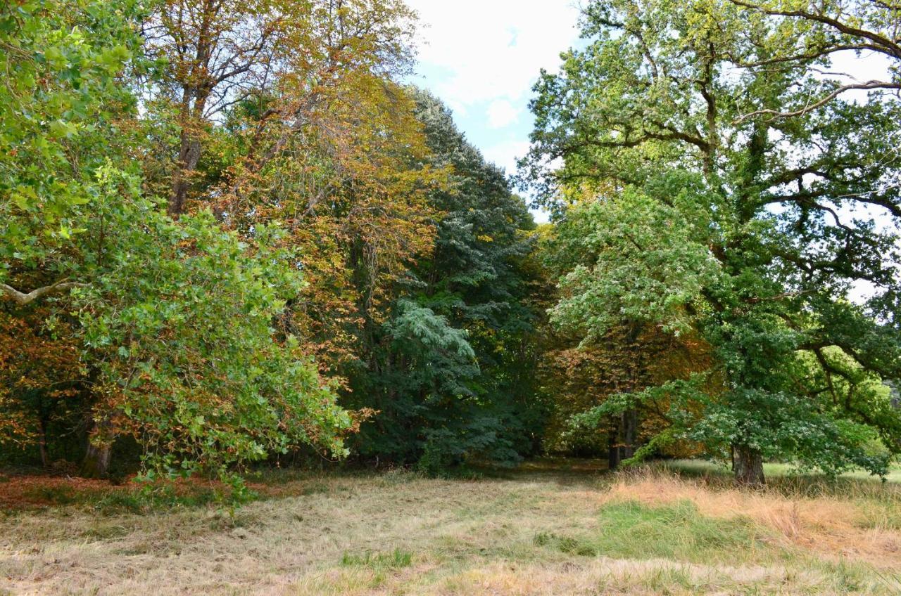 Chateau De Freschines Villefrancoeur Dış mekan fotoğraf